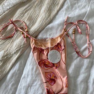 Cleonie Coast Gathered Brief